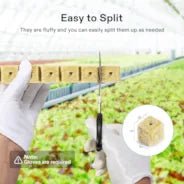 Vivosun 1" Rockwool Grow Cubes, 4 Sheets of 200 Plugs - Green Thumb Depot