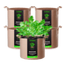 Vivosun 10 Gallon Grow Bags 5 - Pack Brown Thickened Nonwoven Fabric Pots with Handles - Green Thumb Depot