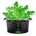 Vivosun 100 Gallon Grow Bags 1 - Pack Black Thickened Nonwoven Fabric Pots with Handles - Green Thumb Depot