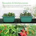 Vivosun 12 - Pack Seed Starter Trays, 144 - Cell Seed Starter Kit with Humidity Dome - Green Thumb Depot