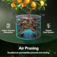 Vivosun 15 Gallon Grow Bags 5 - Pack Black Thickened Nonwoven Fabric Pots with Handles, Multi - Purpose Rings - Green Thumb Depot