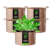Vivosun 15 Gallon Grow Bags 5 - Pack Brown Thickened Nonwoven Fabric Pots with Handles - Green Thumb Depot