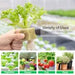 Vivosun 1.6" Rockwool Grow Cubes, 4 Sheets of 112 Plugs - Green Thumb Depot