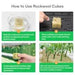 Vivosun 1.6" Rockwool Grow Cubes, 4 Sheets of 112 Plugs - Green Thumb Depot
