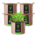 Vivosun 2 Gallon Grow Bags 5 - Pack Brown Thickened Nonwoven Fabric Pots with Handles - Green Thumb Depot