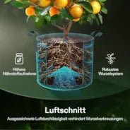 Vivosun 25 Gallon Grow Bags 5 - Pack Black Thickened Nonwoven Fabric Pots with Handles - Green Thumb Depot