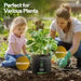 Vivosun 3 Gallon Grow Bags 5 - Pack Black Thickened Nonwoven Fabric Pots with Handles, Multi - Purpose Rings - Green Thumb Depot