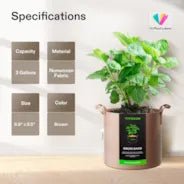 Vivosun 3 Gallon Grow Bags 5 - Pack Brown Thickened Nonwoven Fabric Pots with Handles - Green Thumb Depot