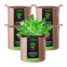 Vivosun 3 Gallon Grow Bags 5 - Pack Brown Thickened Nonwoven Fabric Pots with Handles - Green Thumb Depot