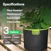 Vivosun 3 - Pack 3 - Gallon AeroBase Grow Bags, Durable Mesh Fabric Plant Container with Breathable Base and Sturdy Handles, Black - Green Thumb Depot