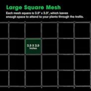 Vivosun 3 x 3Ft. Elastic Trellis Netting with 4 Hooks - Green Thumb Depot