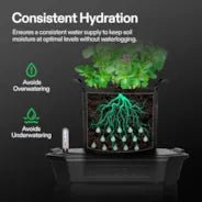 Vivosun 4 - Pack Self - Watering Fabric Pot Base and Grow Bags Set, Auto - Irrigation Water Delivery System with Reservoir Meter - Green Thumb Depot