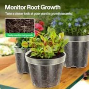 Vivosun 40 Packs 3/4/5/6 Inch Clear Nursery Pots with Drainage Holes - Green Thumb Depot