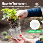 Vivosun 40 Packs 3/4/5/6 Inch Clear Nursery Pots with Drainage Holes - Green Thumb Depot