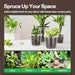 Vivosun 40 Packs 3/4/5/6 Inch Clear Nursery Pots with Drainage Holes - Green Thumb Depot