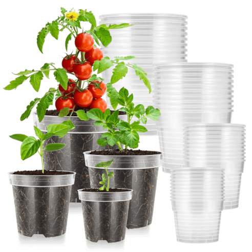 Vivosun 40 Packs 3/4/5/6 Inch Clear Nursery Pots with Drainage Holes - Green Thumb Depot