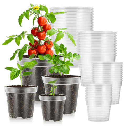 Vivosun 40 Packs 3/4/5/6 Inch Clear Nursery Pots with Drainage Holes