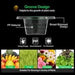 Vivosun 5 Gallon DWC Hydroponic System Kit (4 Bucket, Black) - Green Thumb Depot
