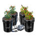 Vivosun 5 Gallon DWC Hydroponic System Kit (4 Bucket, Black) - Green Thumb Depot