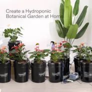 Vivosun 5 Gallon DWC Hydroponic System Kit (8 Bucket, Black) - Green Thumb Depot