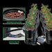 Vivosun 5 Gallon DWC Hydroponic System Kit (8 Bucket, Black) - Green Thumb Depot