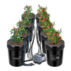 Vivosun 5 Gallon DWC Hydroponic System Kit (8 Bucket, Black)