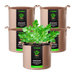 Vivosun 5 Gallon Grow Bags 5 - Pack Brown Thickened Nonwoven Fabric Pots with Handles - Green Thumb Depot