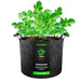 Vivosun 50 Gallon Grow Bags 1 - Pack Black Thickened Nonwoven Fabric Pots with Handles - Green Thumb Depot