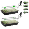 Vivosun 6-Pack Seed Starter Trays, 240-Cell Seed Starter Kit with 2 Set of LED Lights