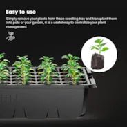 Vivosun 6 - Pack Seed Starter Trays, 240 - Cell Seed Starter Kit with 2 Set of LED Lights - Green Thumb Depot
