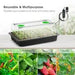 Vivosun 6 - Pack Seed Starter Trays, 240 - Cell Seed Starter Kit with 2 Set of LED Lights - Green Thumb Depot