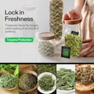 Vivosun 62% RH Two - Way Humidity Control Packs, Size 4 g, 10 Packs for Storing 1/2 oz, Moisture Balancer with RH Indicator Card for Food & Herb Storage - Green Thumb Depot
