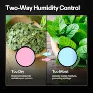 Vivosun 62% RH Two - Way Humidity Control Packs, Size 4 g, 10 Packs for Storing 1/2 oz, Moisture Balancer with RH Indicator Card for Food & Herb Storage - Green Thumb Depot