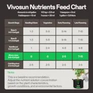 Vivosun Bloom Juice (0 - 6 - 4), Flowering Supplement Liquid Fertilizer for Flowering Stage, 8 Ounces - Green Thumb Depot