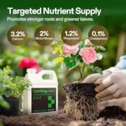 Vivosun Cal+Mag+Iron (2 - 0 - 0), Calcium, Magnesium & Iron Supplement, Liquid Nutrient Fertilizer for All Plants, 1 Quart - Green Thumb Depot