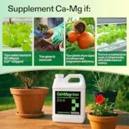 Vivosun Cal+Mag+Iron (2 - 0 - 0), Calcium, Magnesium & Iron Supplement, Liquid Nutrient Fertilizer for All Plants, 1 Quart - Green Thumb Depot