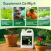 Vivosun Cal+Mag+Iron (2 - 0 - 0), Calcium, Magnesium & Iron Supplement, Liquid Nutrient Fertilizer for All Plants, 1 Quart - Green Thumb Depot