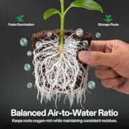Vivosun FlexFeed DWC Hydroponices System Seed Rooter, 4 - Pack Seed Starter Plugs, Compatible with VGrow DWC System - Green Thumb Depot