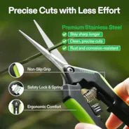 Vivosun Gardening Hand Pruner Pruning Shear with Straight Stainless Steel Blades, Black - and - Green - Green Thumb Depot