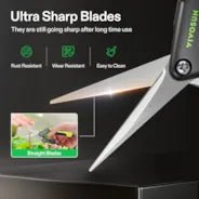 Vivosun Gardening Hand Pruner Pruning Shear with Straight Stainless Steel Blades, Black - and - Green - Green Thumb Depot