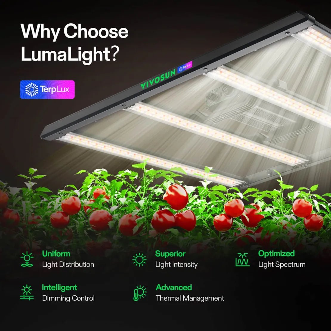 Vivosun LumaLight 320W LED Grow Light, Full Spectrum Indoor Plant Light with Deep Canopy Penetration, 3x3ft Coverage, GrowHub Compatible - Green Thumb Depot
