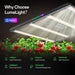 Vivosun LumaLight 320W LED Grow Light, Full Spectrum Indoor Plant Light with Deep Canopy Penetration, 3x3ft Coverage, GrowHub Compatible - Green Thumb Depot