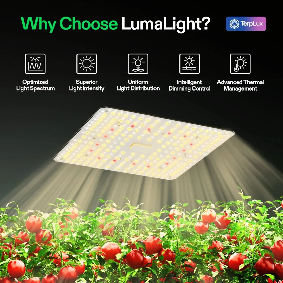 Vivosun LumaLight LED Grow Light, Full Spectrum Plant Light, 100W Smart Dimmable & High PPFD for Indoor Plants Seedling Vegetables Bloom - Green Thumb Depot