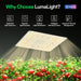 Vivosun LumaLight LED Grow Light, Full Spectrum Plant Light, 100W Smart Dimmable & High PPFD for Indoor Plants Seedling Vegetables Bloom - Green Thumb Depot
