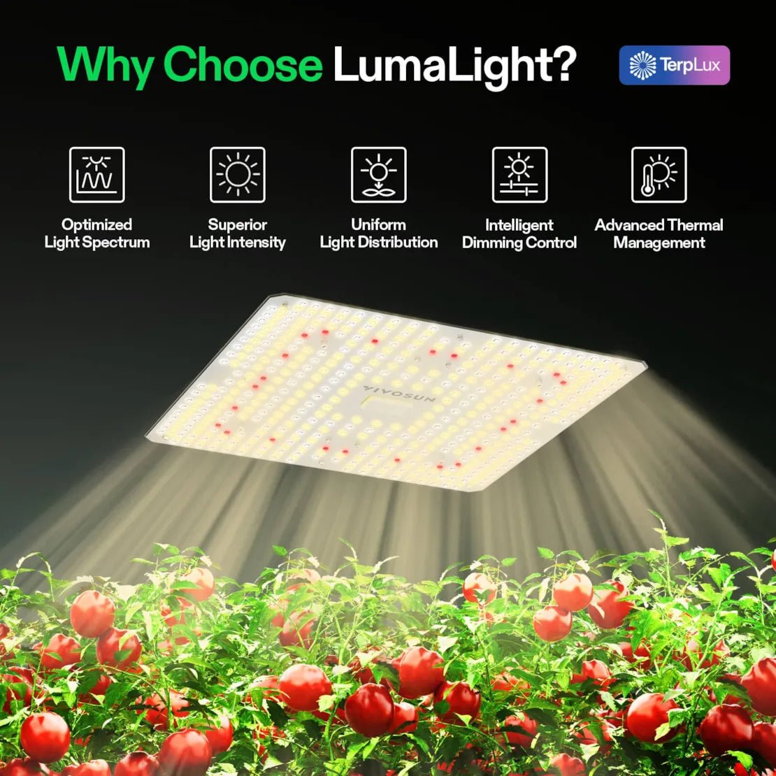 Vivosun LumaLight LED Grow Light, Full Spectrum Plant Light, 150W Smart Dimmable & High PPFD for Indoor Plants Seedling Vegetables Bloom - Green Thumb Depot