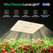 Vivosun LumaLight LED Grow Light, Full Spectrum Plant Light, 150W Smart Dimmable & High PPFD for Indoor Plants Seedling Vegetables Bloom - Green Thumb Depot
