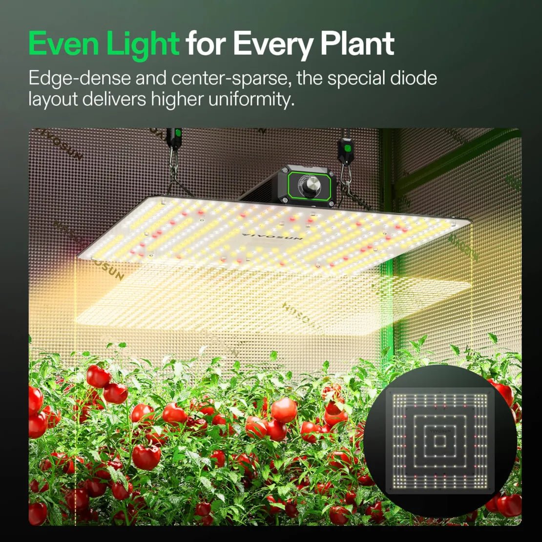 Vivosun LumaLight LED Grow Light, Full Spectrum Plant Light, 150W Smart Dimmable & High PPFD for Indoor Plants Seedling Vegetables Bloom - Green Thumb Depot