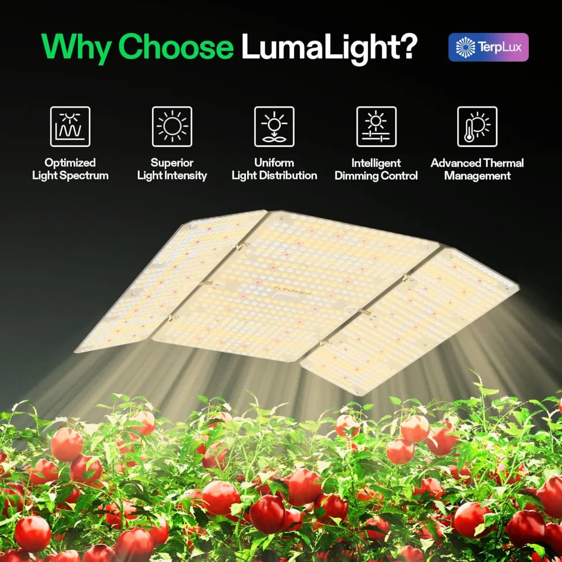 Vivosun LumaLight LED Grow Light, Full Spectrum Plant Light, 400W Smart Dimmable & High PPFD for Indoor Plants Seedling Vegetables Bloom - Green Thumb Depot