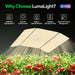 Vivosun LumaLight LED Grow Light, Full Spectrum Plant Light, 400W Smart Dimmable & High PPFD for Indoor Plants Seedling Vegetables Bloom - Green Thumb Depot