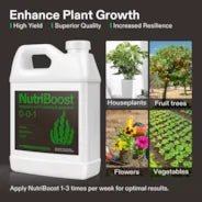 Vivosun NutriBoost (0 - 0 - 1), All - Purpose Liquid Fertilizer for All Growing Stages, 32 Ounces/1 Quart - Green Thumb Depot